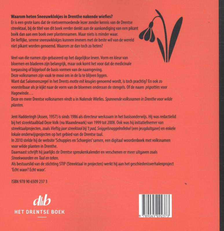 Achterkant van Nakende wiefies
