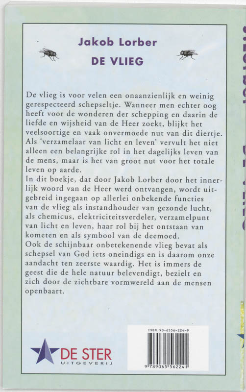 Achterkant van De vlieg