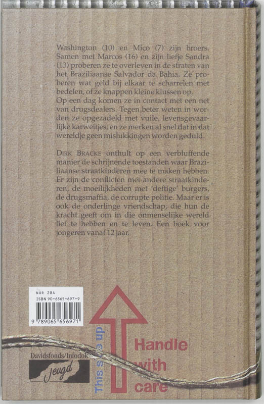 Achterkant van Een vlieg op de muur