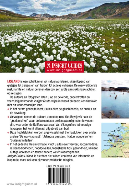 Achterkant van IJsland