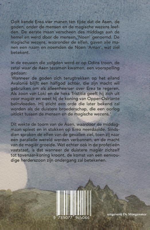 Achterkant van 1 het geheim van de Runensteen
