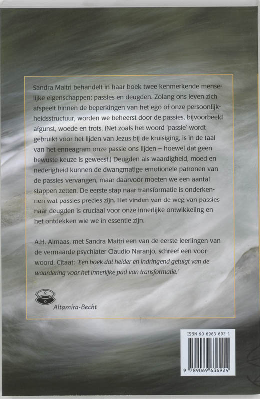Achterkant van Het enneagram van passies en deugden