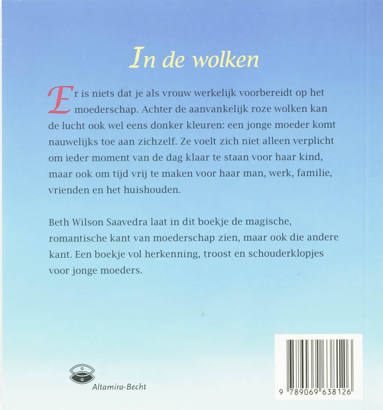 Achterkant van In de wolken