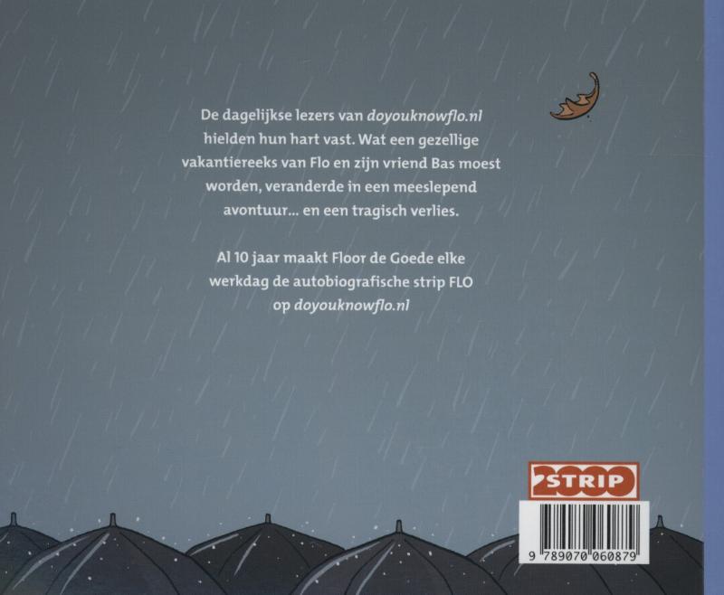 Achterkant van Spoorloos verlangen