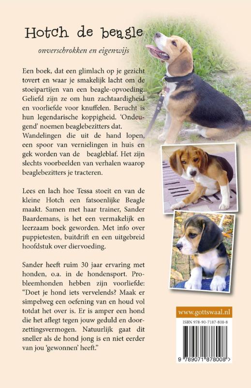 Achterkant van Hotch de Beagle