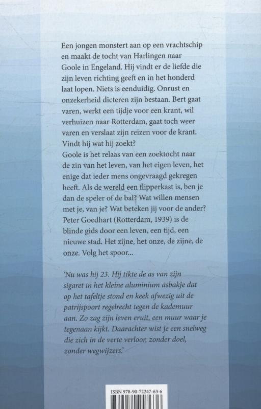Achterkant van Goole