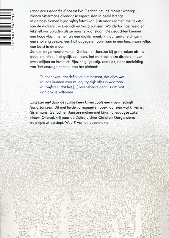 Achterkant van Alledaagse ergernissen