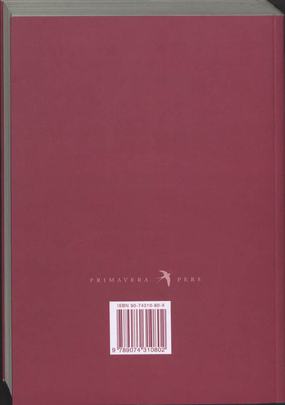 Achterkant van Paradiso
