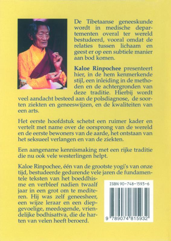 Achterkant van Een verhaal over Tibetaanse geneeskunde