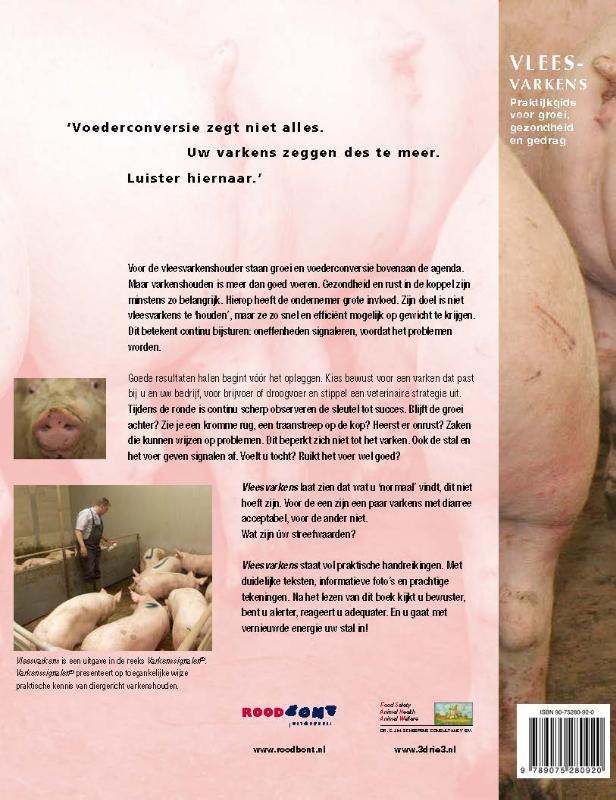 Achterkant van Vleesvarkens