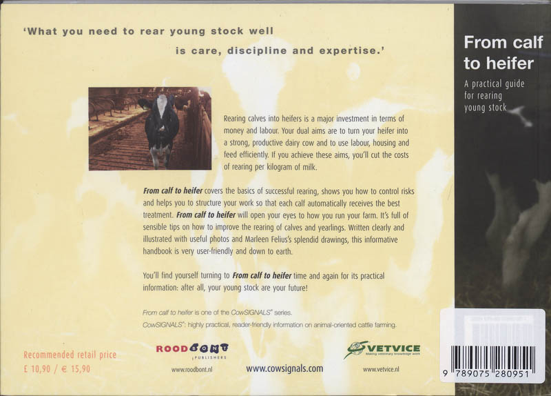 Achterkant van From calf to heifer