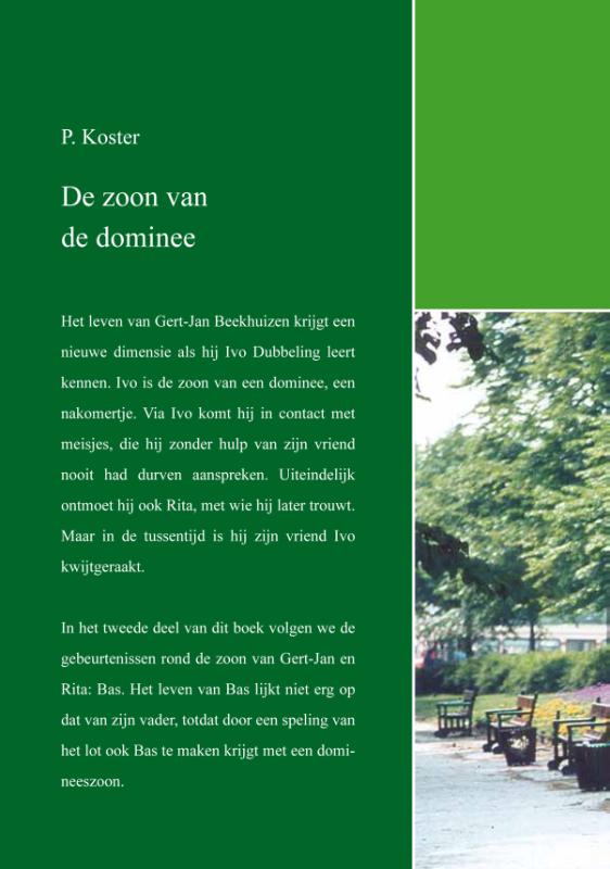 Achterkant van De zoon van de Dominee