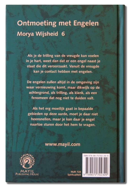Achterkant van Ontmoeting met engelen