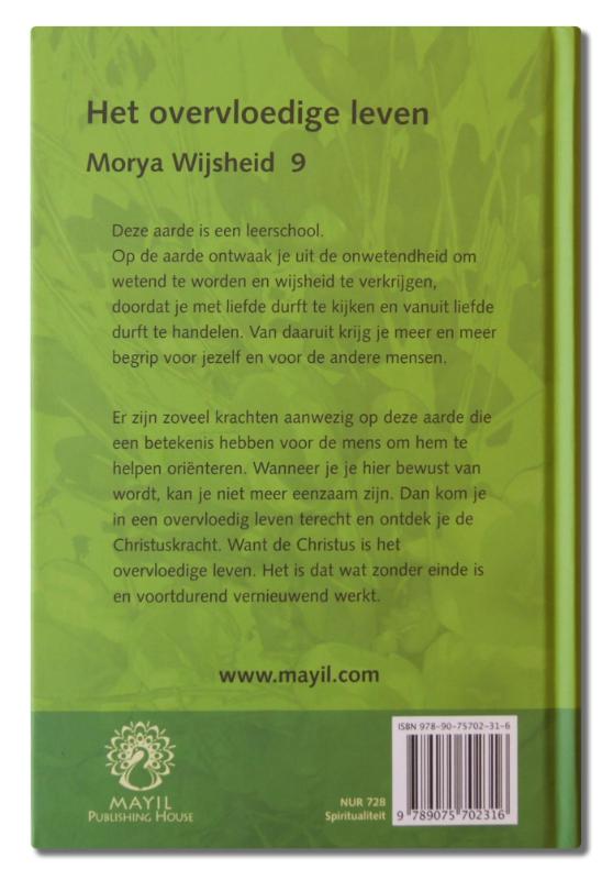 Achterkant van Het overvloedige leven