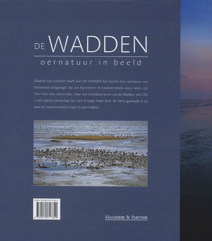 Achterkant van De wadden
