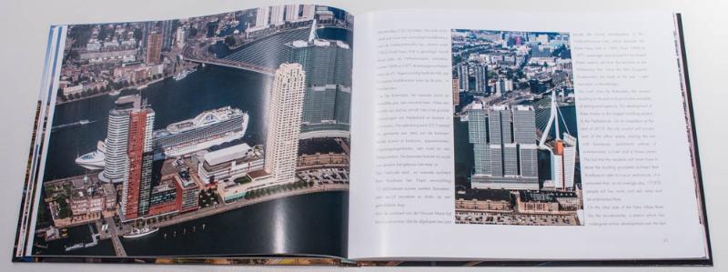 Achterkant van Rotterdam in the picture