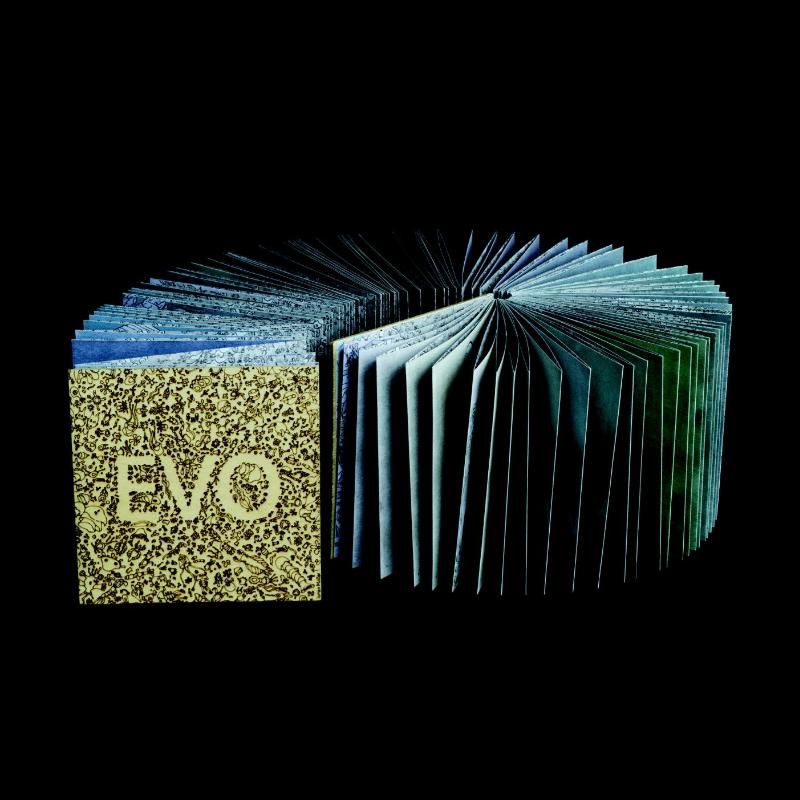 Achterkant van Evo
