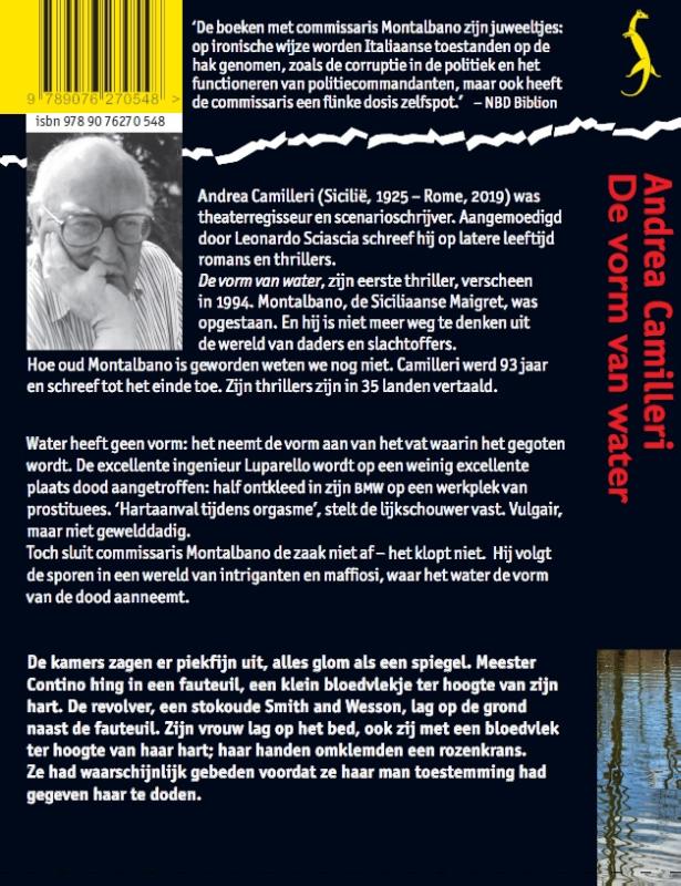 Achterkant van De vorm van water