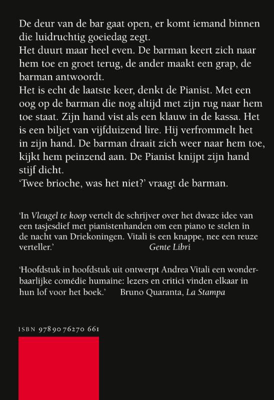 Achterkant van Vleugel te koop