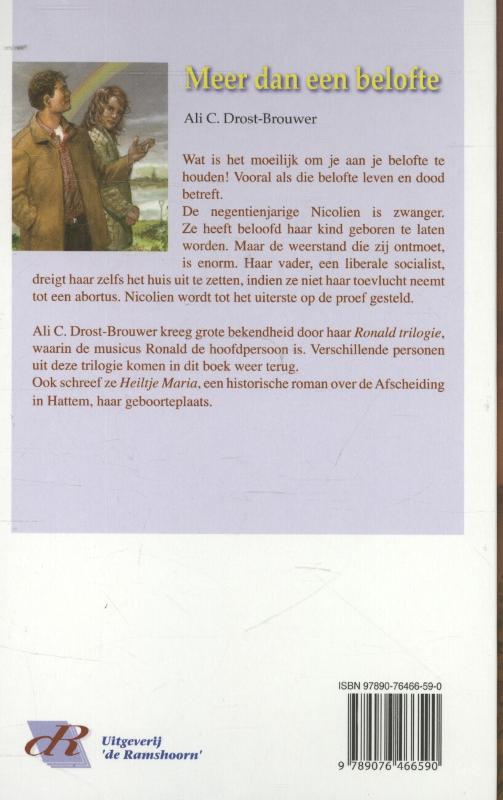 Achterkant van Meer dan een belofte
