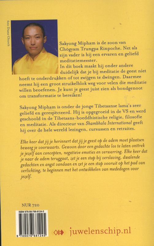 Achterkant van Je geest als bondgenoot