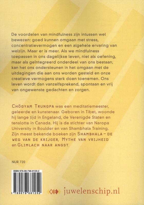 Achterkant van Mindfulness in actie