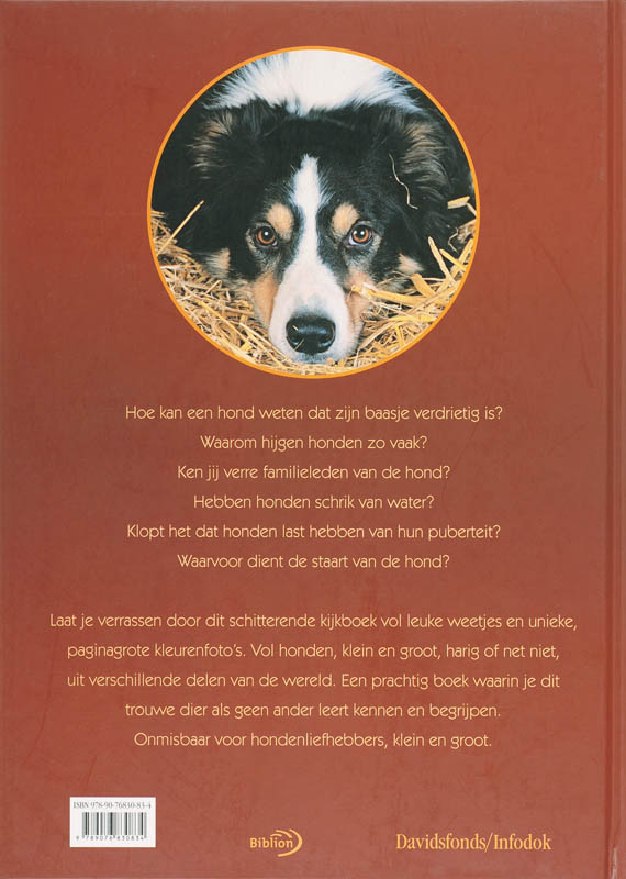 Achterkant van Honden