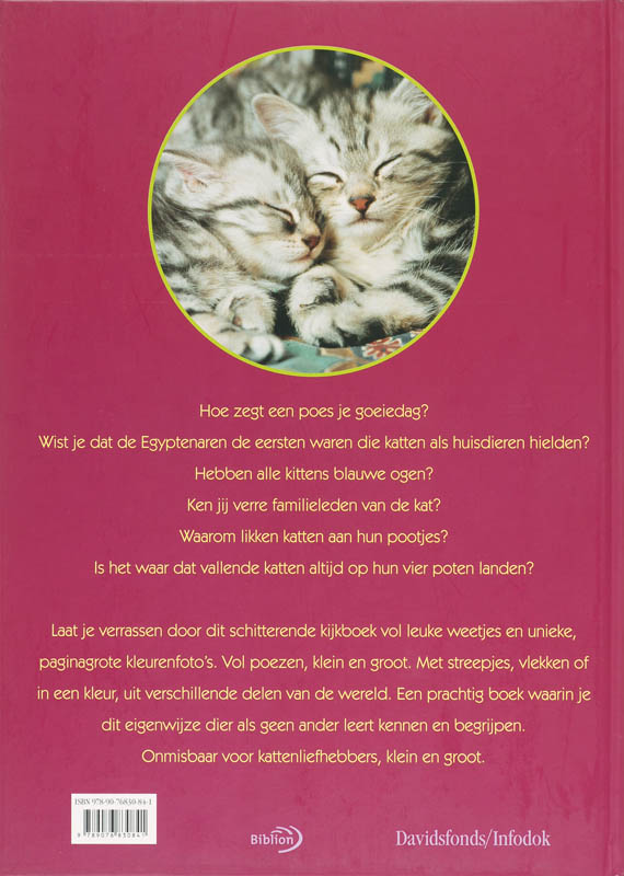 Achterkant van Katten