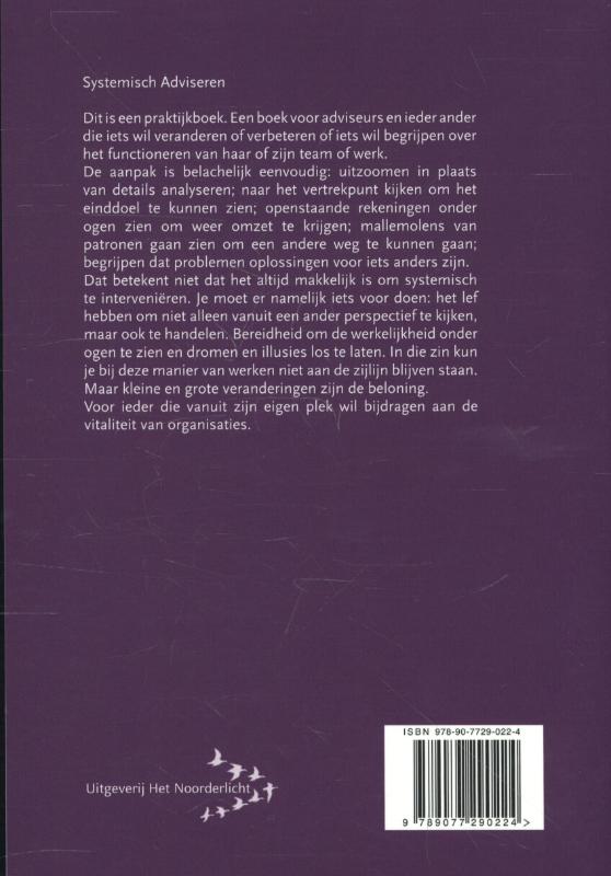 Achterkant van Systemisch adviseren