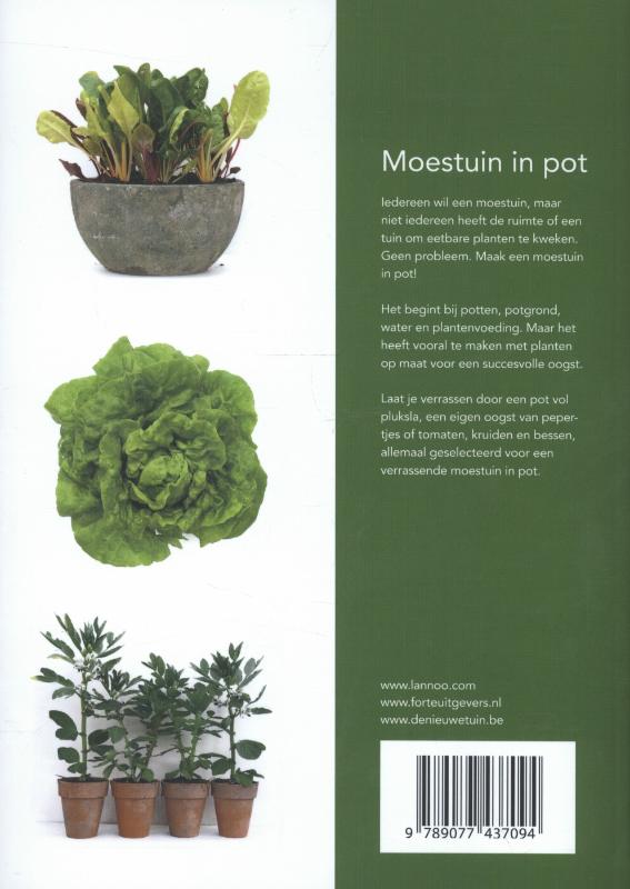 Achterkant van Moestuin in pot