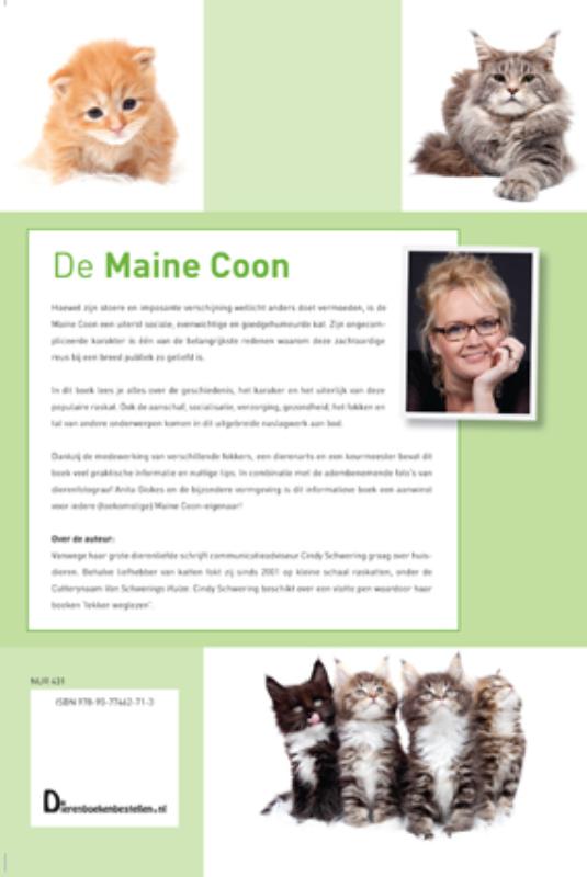 Achterkant van De Maine Coon