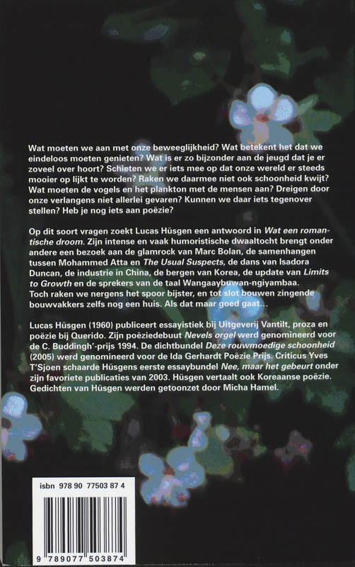 Achterkant van Wat een romantische droom
