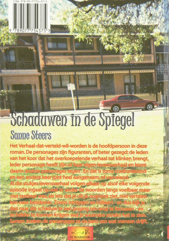 Achterkant van Schaduwen in de spiegel