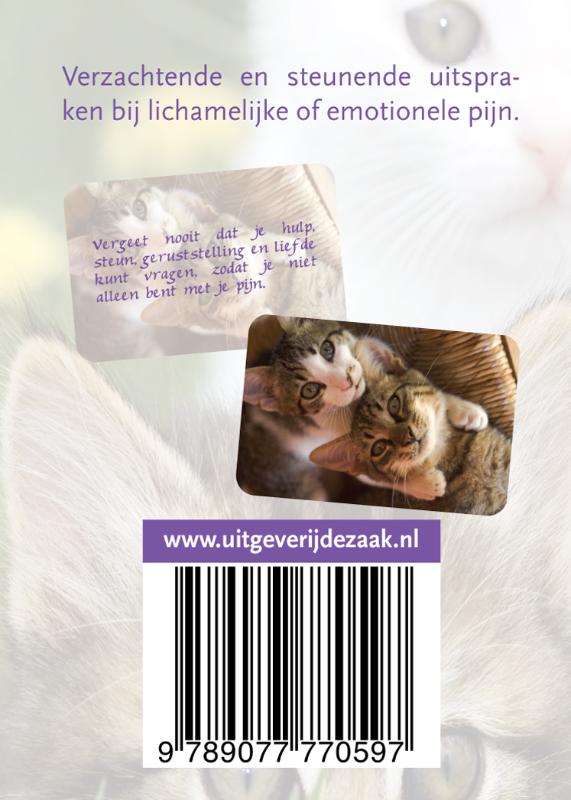 Achterkant van Pijnstillerkaartjes