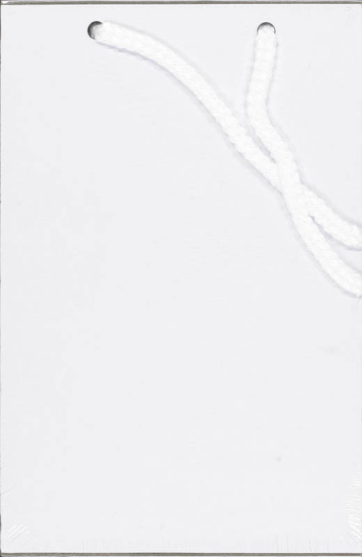 Achterkant van Maya scheurkalender 2008-2009