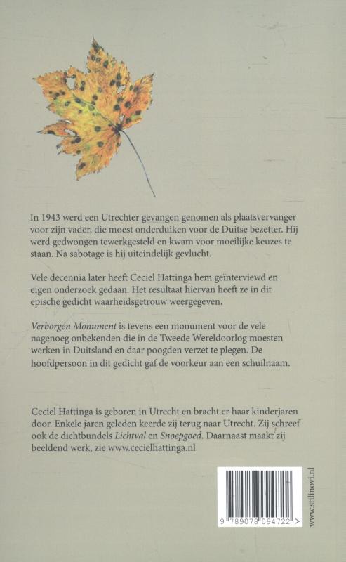 Achterkant van Verborgen monument