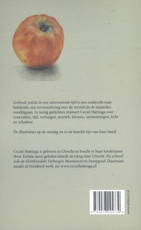 Achterkant van Lichtval