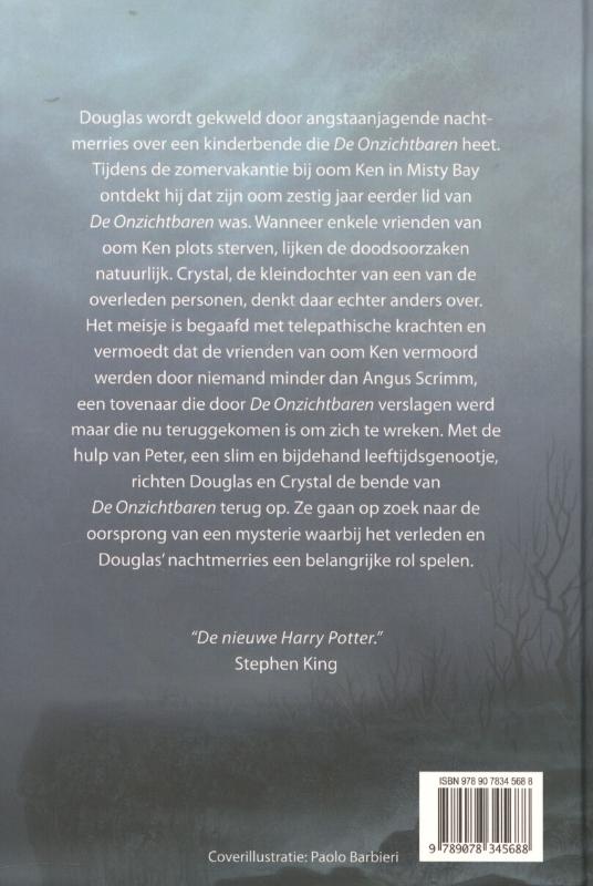 Achterkant van Het geheim van Misty Bay