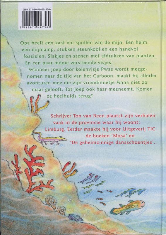 Achterkant van Het kolenvisje