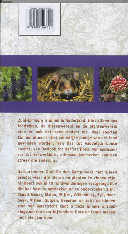 Achterkant van Op zoek naar Das, Maretak en Vliegenorchis