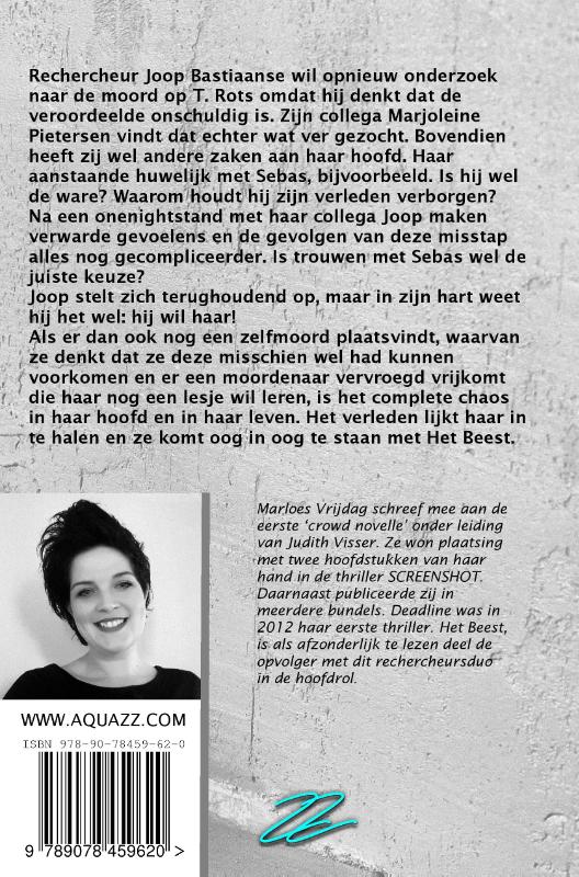 Achterkant van Het Beest