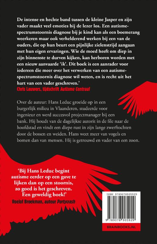 Achterkant van De structuur van asfalt