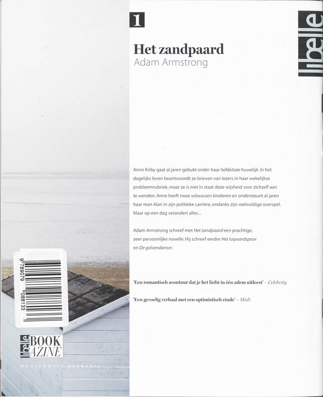 Achterkant van Het zandpaard