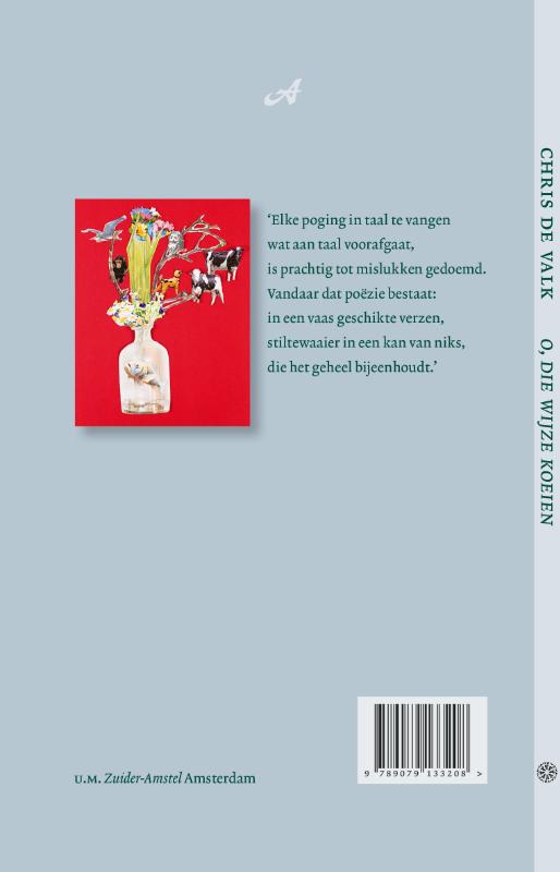 Achterkant van O, die wijze koeien