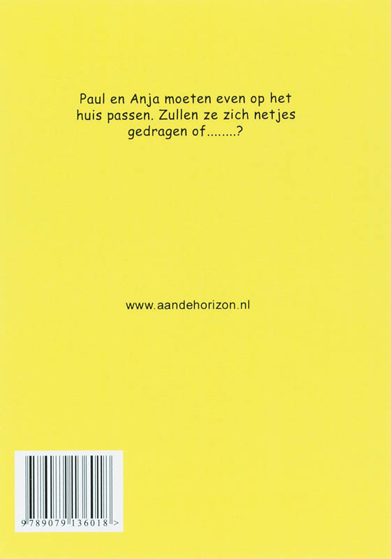 Achterkant van Alleen thuis