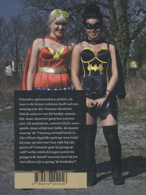 Achterkant van Kleine Vlaamse mythologieen