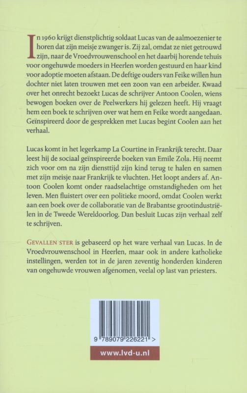 Achterkant van Gevallen ster