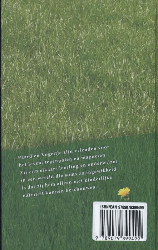 Achterkant van Paard en vogeltje