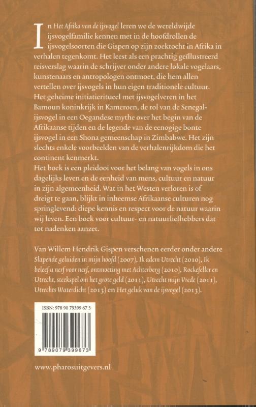 Achterkant van Het Afrika van de IJsvogel