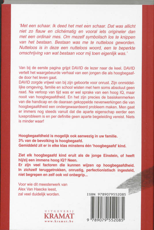 Achterkant van David
